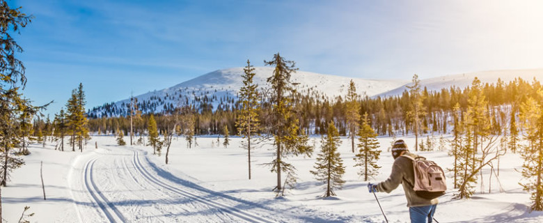 Développement et entretien – sentier de ski de fond