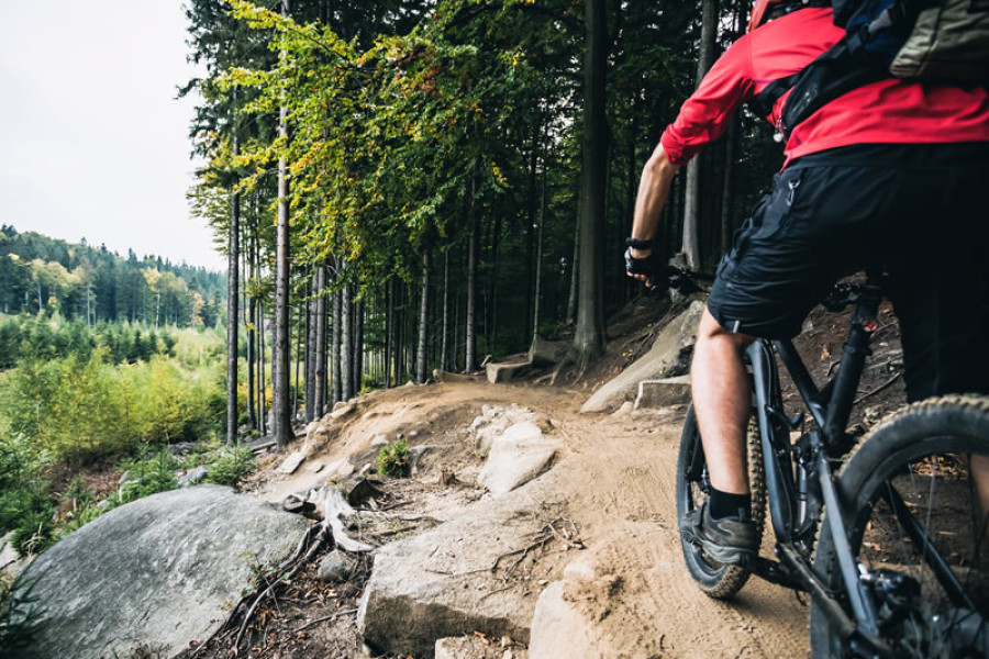 Développement – sentier de vélo de montagne